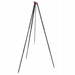 ✴️✴️✴️✴️✴️