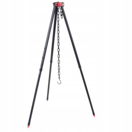 ✴️✴️✴️✴️✴️