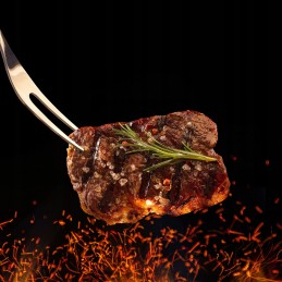 Grilio reikmenų rinkinys iš 5 priedų patogiame lagamine