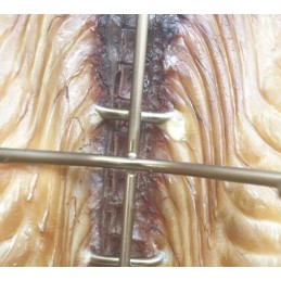 Kabliukai dideliems žuvims rūkyti, 6 peiliukai, 10 vnt