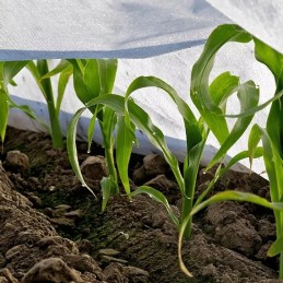 Spyruoklinė agrotekstilė p17 2,1x10m