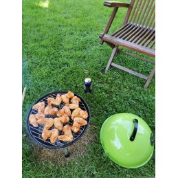 Fieldmann FZG1000 anglis grilis 34x34cm juodas