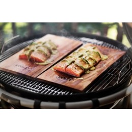 Komplektis 2 lepalauda bbq grillimiseks - roesle
