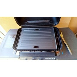 Cast iron grate for silver gas grill