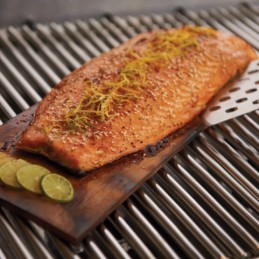 Grill pro seedripuu grilllaud