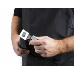 Broil karaliaus prijuostė