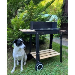 Techniniai duomenys: