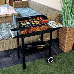 Sodo anglies grotelės ant ratų priedai