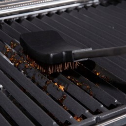 Barono šepetys su palmių šeriais 64038 broil king