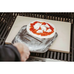 Enders picos žievelė