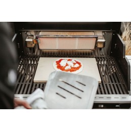 Enders picos žievelė