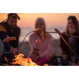 laužavietė, kepsninė