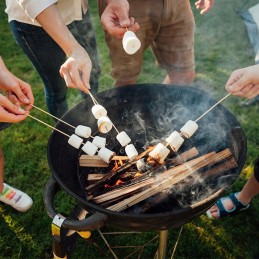 Anglies grilis su kaminu apšvietimui