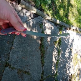 Nešiojama sodo anglių kepsninė ant ratų su dangteliu, grotelių priedais