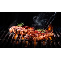 Fieldmann FZG1009 anglies grilis