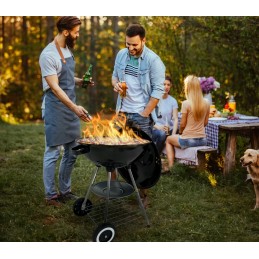 Anglies grilis ant ratų, uždaras, polka bbq 1014