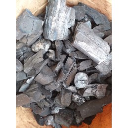 Anglis iš Bieszczady kalnų 15 kg kepsninei