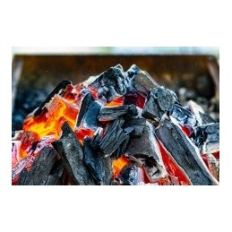 Anglis iš Bieszczady kalnų 15 kg kepsninei