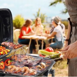 Garden charcoal grill for briquettes, closed, with cover, ventilation, shelf