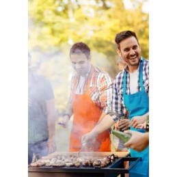 Garden charcoal grill for briquettes, closed, with cover, ventilation, shelf