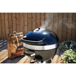 Charcoal grill lighting chimney napoleon jetfire