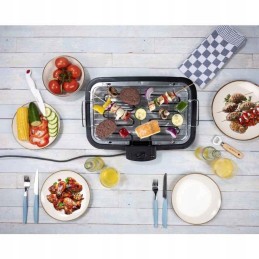 Elektrinis grilis skelbimas 6602/kr 6612