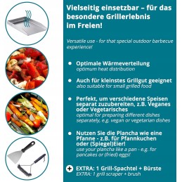 Plieninė grilio plokštė 30x40, universalus valiklis