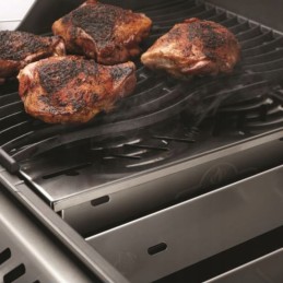 Rūkykla Napoleon, nerūdijančio plieno rūkykla medienos drožlėms