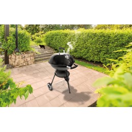 Sodo anglies grilis trimis kojomis Mark Adler Roast 2 0