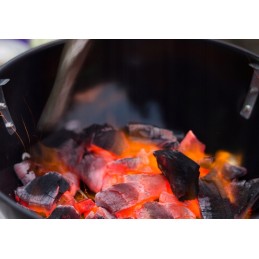 🌟_xDF1F_ bio grilio uždegimas 12l (12x1l) sutirštintas flambitas