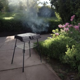 2 viename stovi elektrinė sodo kepsninė, 2000 vatų