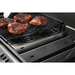 Napoleono nerūdijančio plieno rūkykla