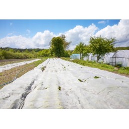 Agrotekstilė, balta, sodo spyruoklinis kilimėlis, 1,6 x 20 m, atsilikimas dengimui