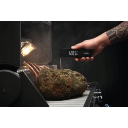 Napoleono greito skaitymo termometras