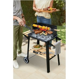 Didelės stačiakampės medžio anglies kepsninės ant ratų