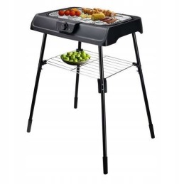 2 viename stovi elektrinė sodo kepsninė, 2000 vatų