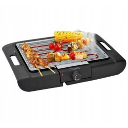 2 viename stovi elektrinė sodo kepsninė, 2000 vatų