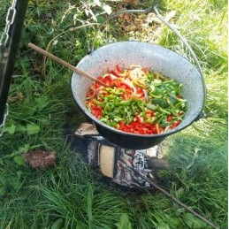 Pardavimo objektas - trikojis + 6l emaliuotas vengriškas katilas