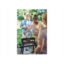Grillmeister grilis ant ratukų su nuimamu iešmu 84 x 86 x 45 cm