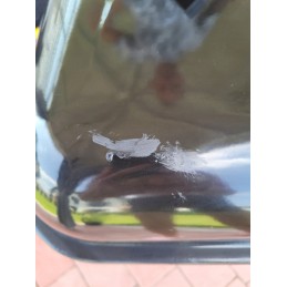 Sodo anglis grilis su dangteliu - yg-99580