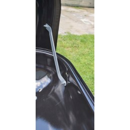 Sodo anglis grilis su dangteliu - yg-99580