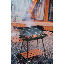 Grilis su anglimis su lentynomis, grotelės 53x33cm