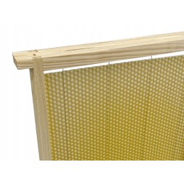 10x Wielkopolska tiesus rėmas su gyvate