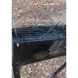 ------Ieskau nešiojamo grilio ant ratuku sodui------