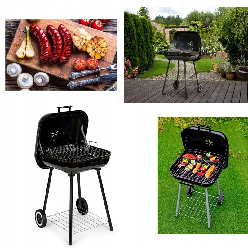 Pagrindinės savybės