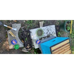 Juostelės su oksalo rūgštimi ir glicerinu, 4 pak