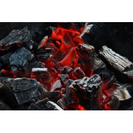 Puikus sodo grilio katilas