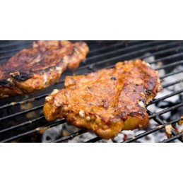 Puikus sodo grilio katilas