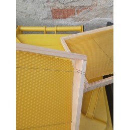 10x Didžiosios Lenkijos Hoffman rėmas su gyvate