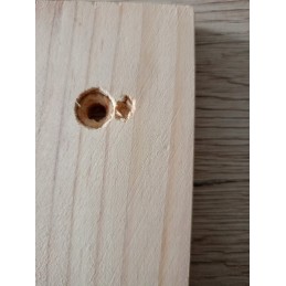 Anglies kepsninė su reguliuojamomis lentynomis, 2 grotelės 52x32cm, nešiojamas iešmas